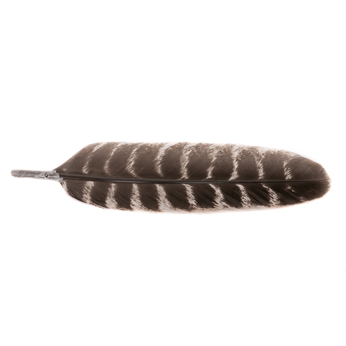 10pcs of Natural Turkey Feathers, Feathers For Smudging, Smudging Feathers, or Decoration, Ethically sourced feathers, Spiritual Feathers