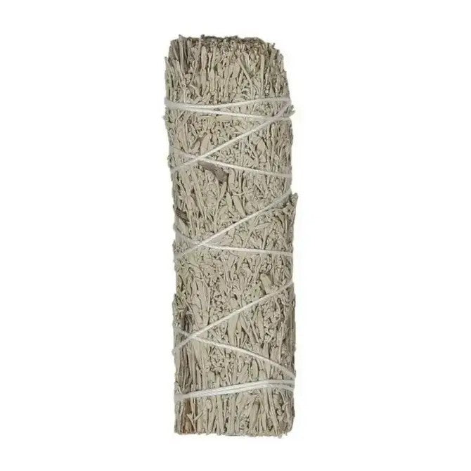 Blue Sage (Grandmother Sage) Bulk (100 PACK)