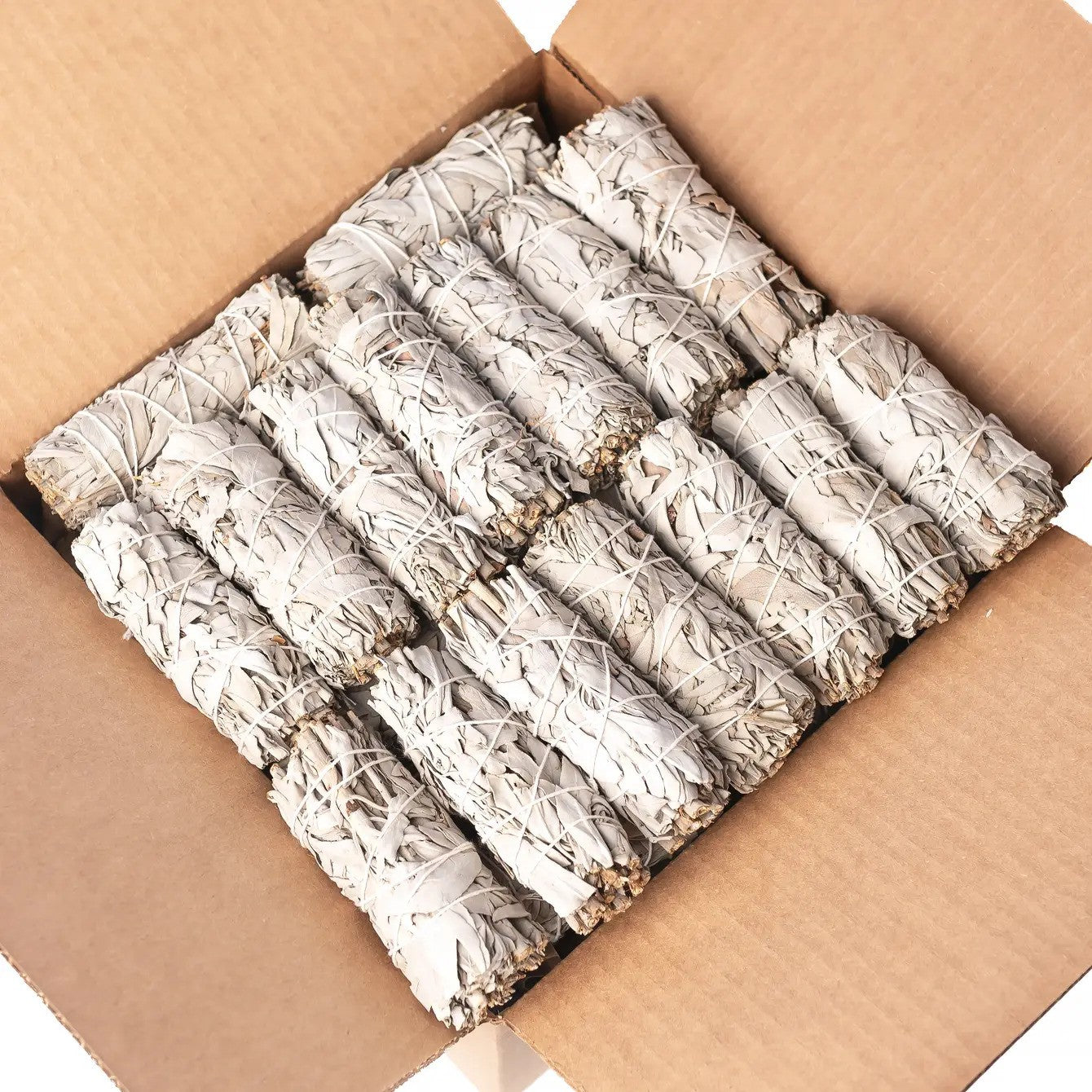 California White Sage (Salvia Apiana) Bulk (100 PACK)