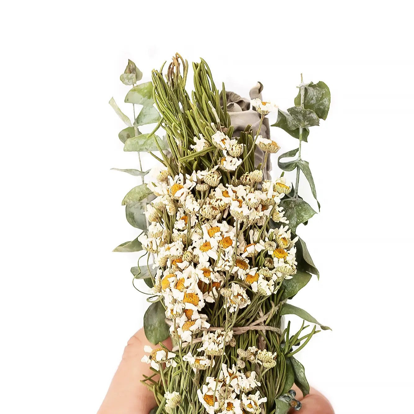 Chamomile, Eucalyptus, and Rosemary Wrapped 8" Sage Bundle
