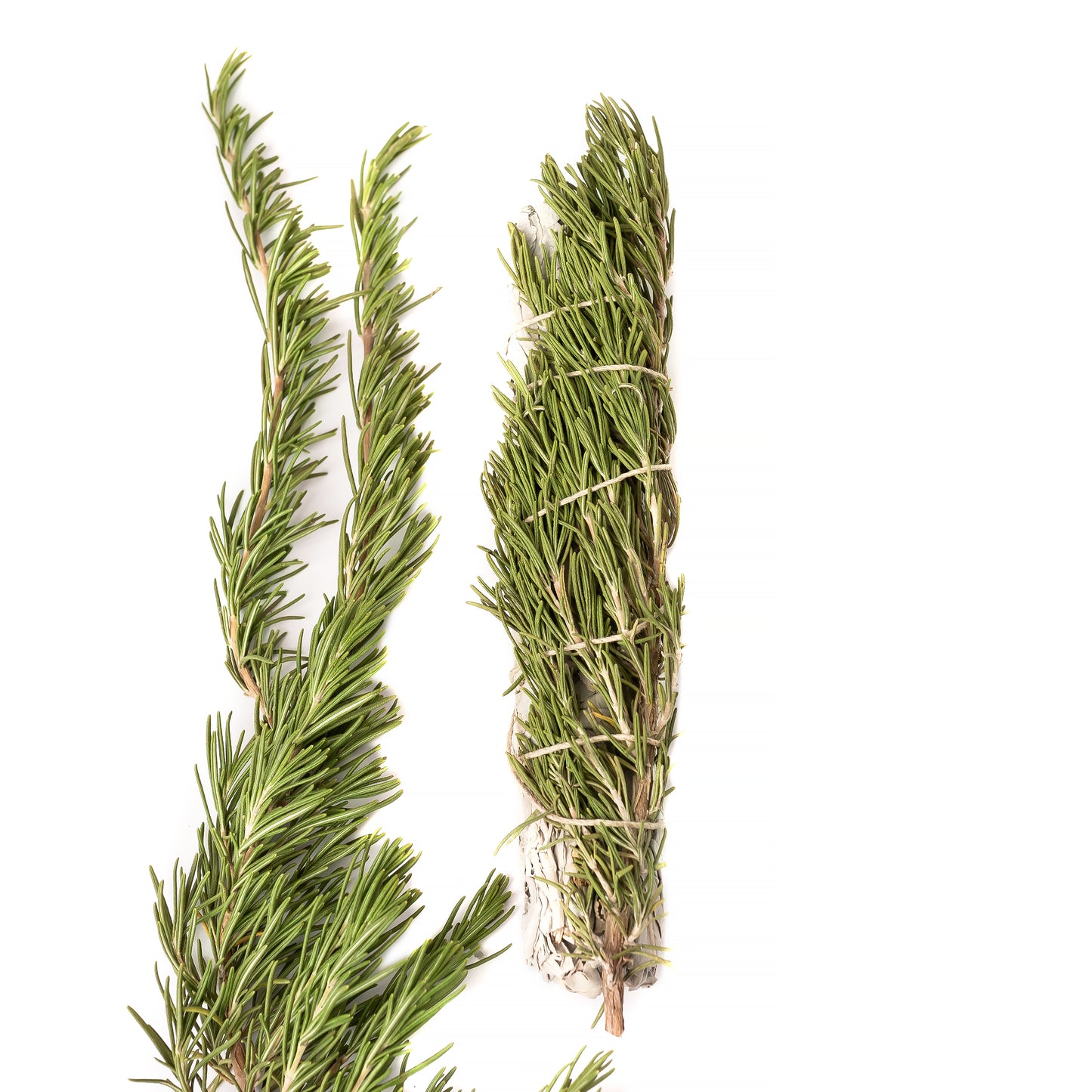 Rosemary 8" Sage Floral Bundle
