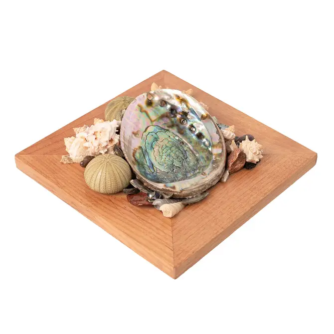 Abalone Shell Decor, Ocean Decor, Decorative Beach Decor - Brown Display