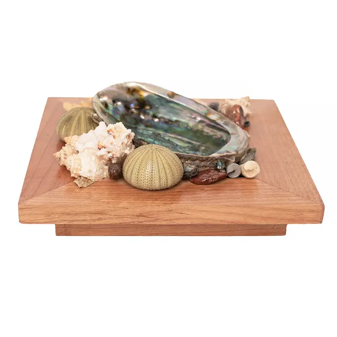 Abalone Shell Decor, Ocean Decor, Decorative Beach Decor - Brown Display