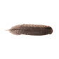 10pcs of Natural Turkey Feathers, Feathers For Smudging, Smudging Feathers, or Decoration, Ethically sourced feathers, Spiritual Feathers