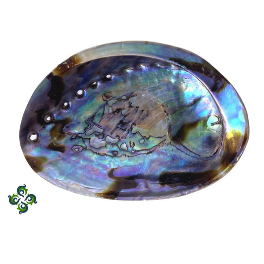Abalone Shells, 5" - 6" Inches, New Zealand, Incense Burner