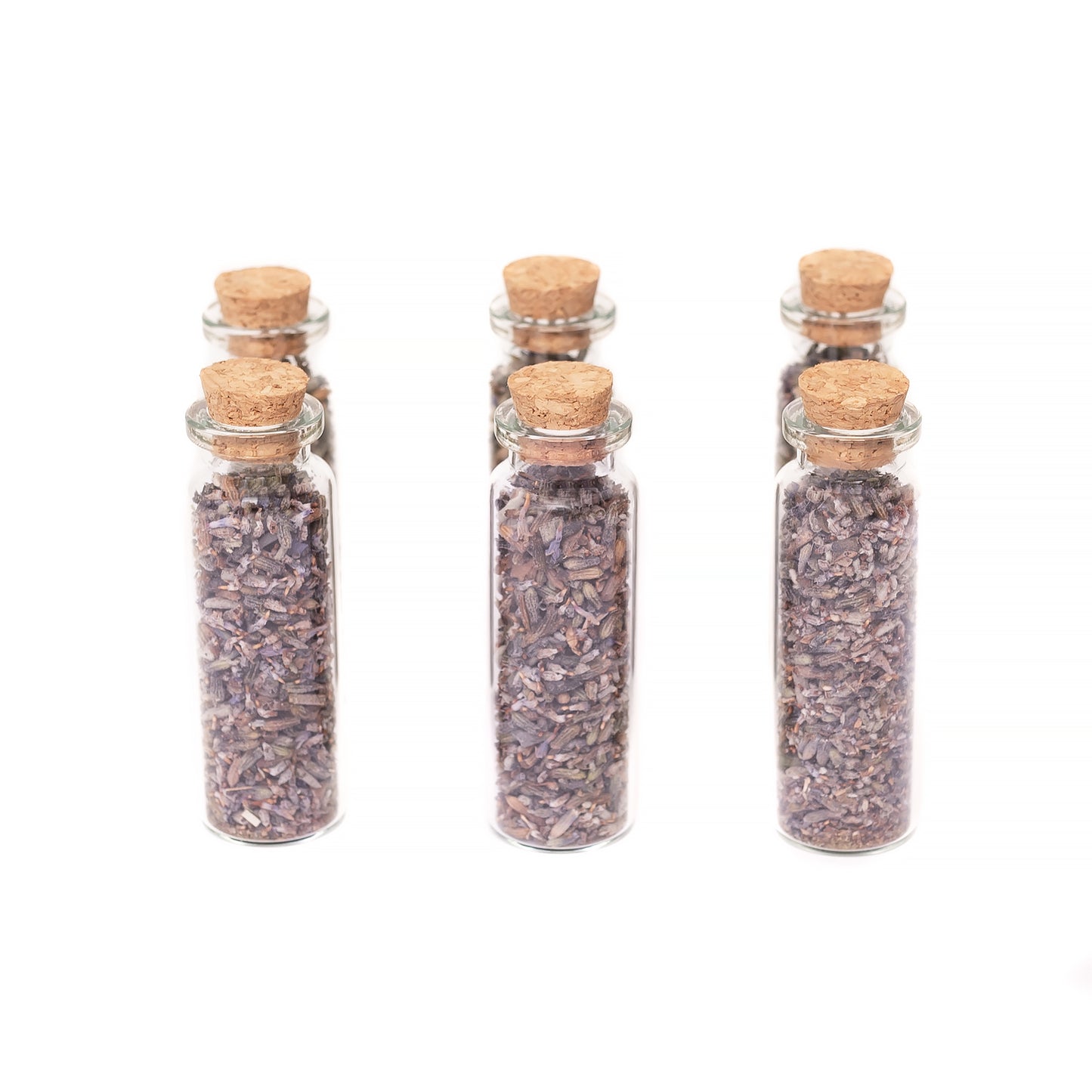6pk of Glass Vial Cork Top with Lavender Buds in a Bottle 15ml Glass Vial