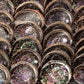 Abalone Shells, 5 - 6 Inches, Pink, Mexican, Incense Burner