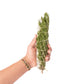 Rosemary  8" Sage Floral Bundle