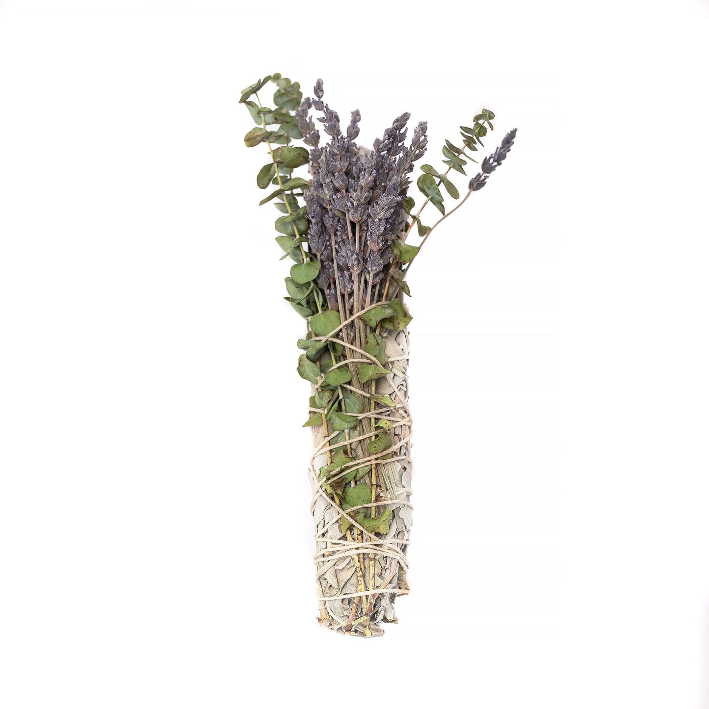 8" Sage Lavender, Eucalyptus Sage Bundle