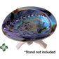 Abalone Shells, 5" - 6" Inches, New Zealand, Incense Burner