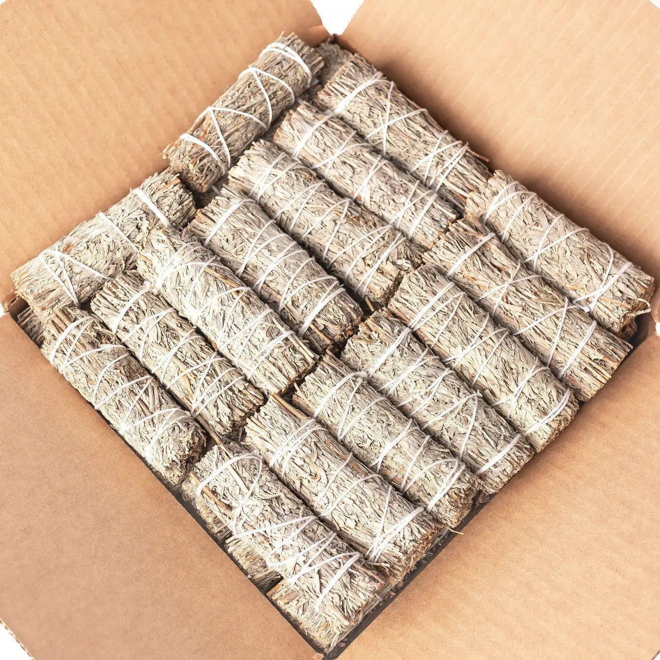 Blue Sage (Grandmother Sage) Bulk (100 PACK)