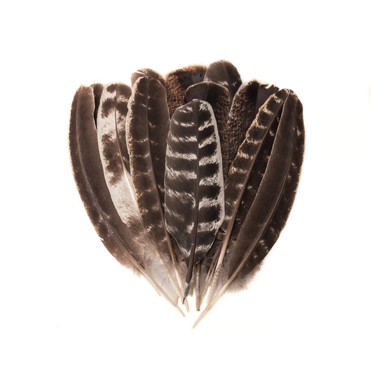 10pcs of Natural Turkey Feathers, Feathers For Smudging, Smudging Feathers, or Decoration, Ethically sourced feathers, Spiritual Feathers
