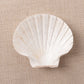 White Scallop, Lion Paw Shell Displays, Incense Burner 4"-5"