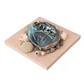Abalone Shell Decor, Ocean Decor, Decorative Beach Decor - Pink Display